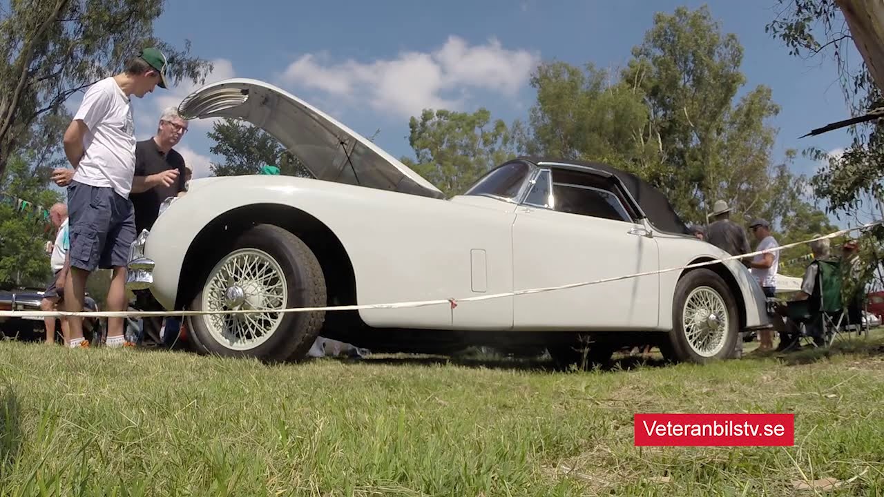 Jaguar t1 a