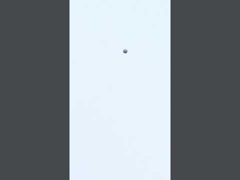 Could watch this all day