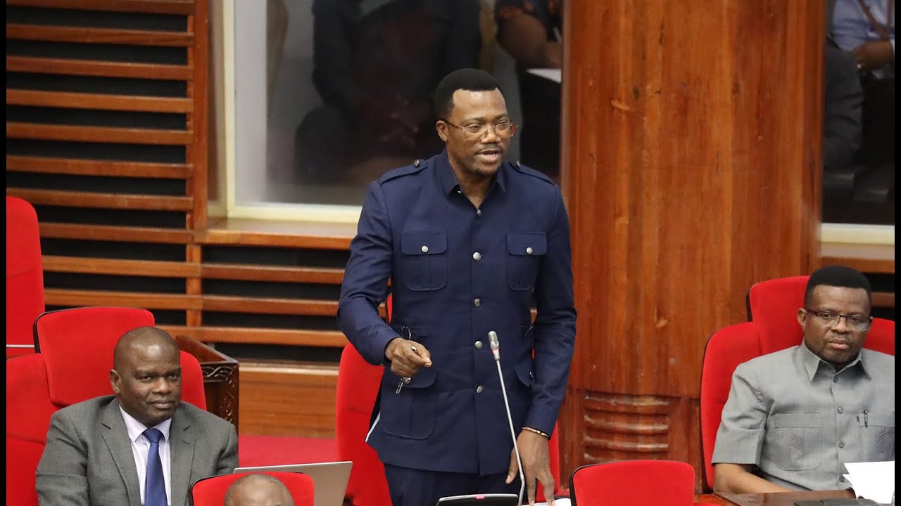 BALAA LA MBUNGE MPINA “WAZIRI WA FEDHA ALIKWENDA BILA RIDHAA YA BUNGE, AMEZIPELEKA WAPI?”