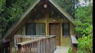 Yosemite national park chalet isolated in the forest ---------- baita
isolata nel bosco del parco nazionale di california