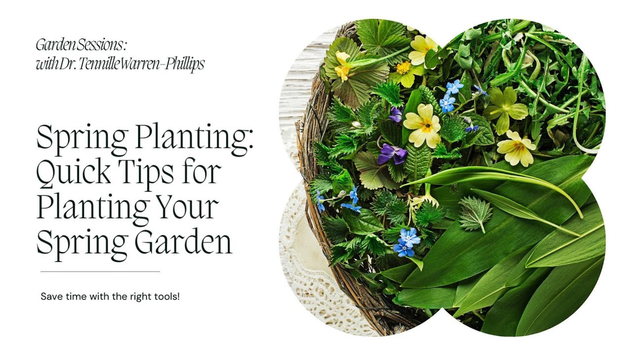 Spring Planting: Quick Tips for Your Spring Garden - YouTube