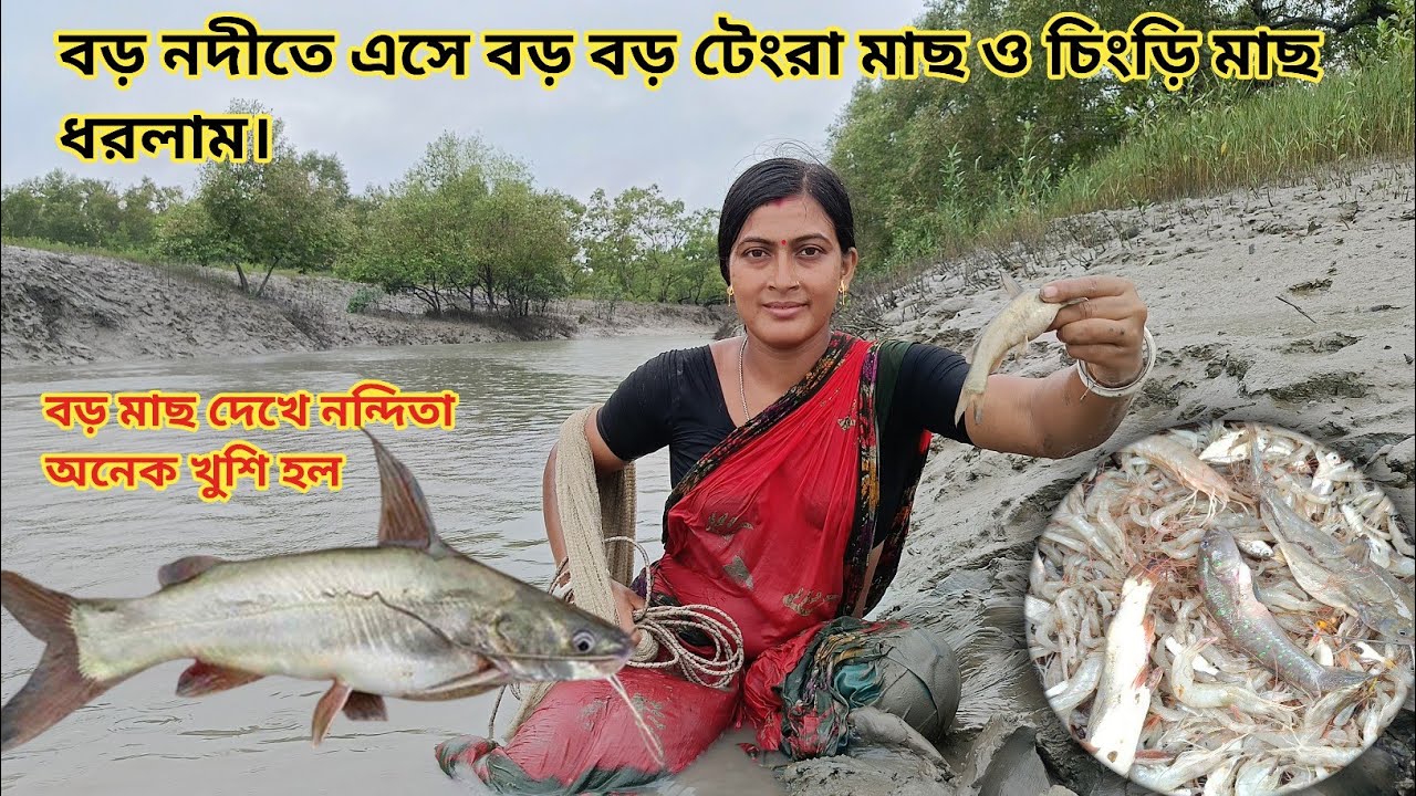 সুন্দরবনের বড় নদীতে জল ফেলে বড় সাইজের টেংরা মাছ ও চিংড়ি মাছ ধরলাম ||Nandita Sundarban life