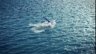 WhaleJump - WATERFX in Houdini workshop
