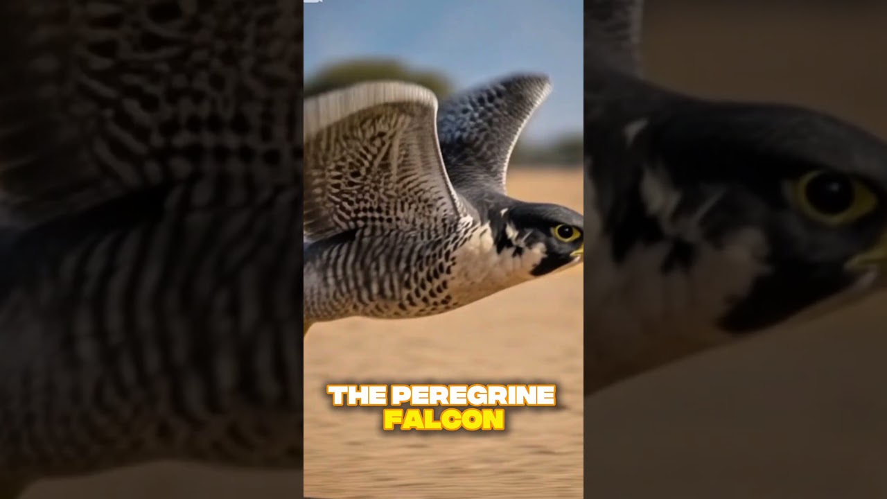 Самые быстрые дикие хищники в мире 😱 