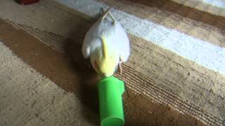 DSCF4824.AVI