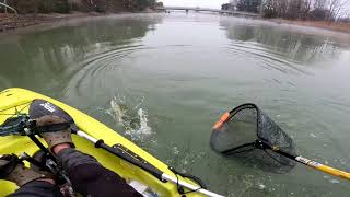 Lake Norman Hot Hole Bass Fishing
