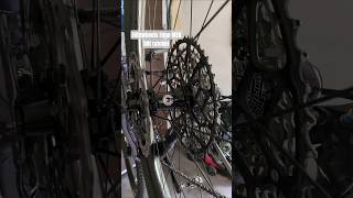 🎶 Elitewheels Hub Sound 50t ratchet Carbon Edge MTB Wheelset #mtb #mountainbike #asmr #bikeasmr