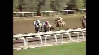 Princess Rooney - Breeders' Cup Distaff 1984