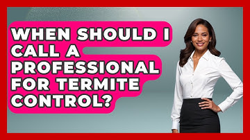 When Should I Call A Professional For Termite Control? - Insects and Invaders