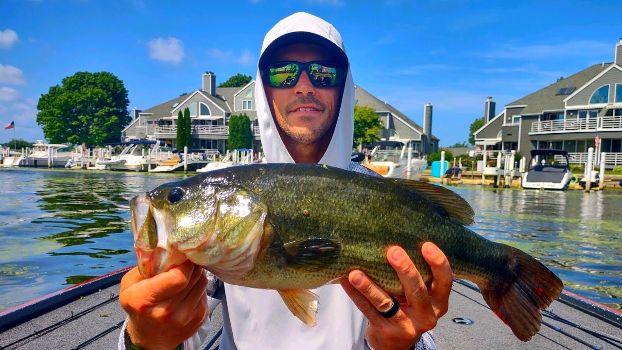 Flipping, Punching, and Fishing for Late Summer Largemouth Bass YouTube