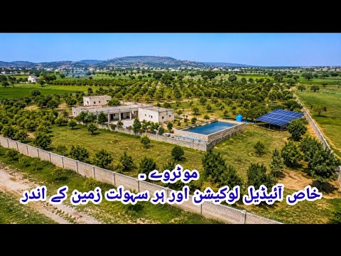   شاندار زرعی زمین برائے فروخت | مین روڈ فرنٹ  موٹروے پاس | پنجاب agriculture land