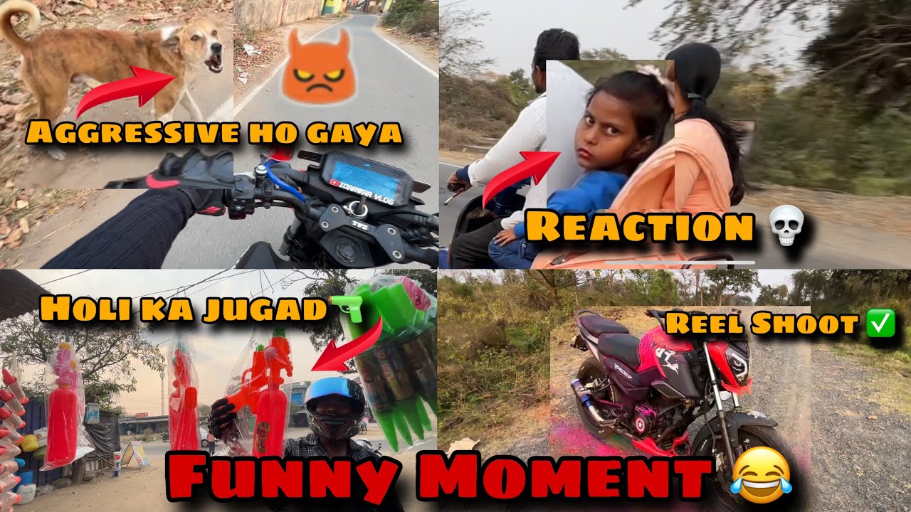 SC Project Dog Reaction | Holi Reel Shoot | Sunday Ride