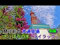 🪻「さっぽろライラックまつり」の前に開花状況を見てみた【前編】【札幌大通公園】【札幌ぶらり散歩】【2026春】