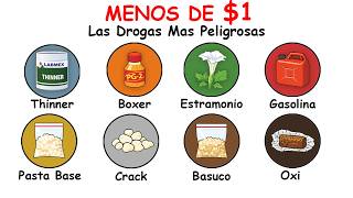 Drogas De 1 Que Destruyen El Cerebro La Crisis Silenciosa De América Latina