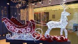 Direct Export Lighted Collection 2021