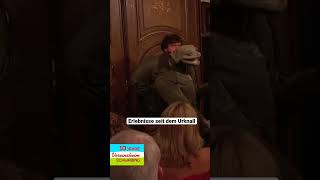 Michael Hatzius und die Echse – Erlebnisse seit dem Urknall