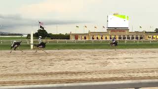 Watch the annual Ostrich race at Penn National Race Course