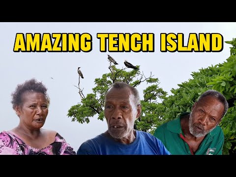 Amazing Tench Island Island Of Seafaring Birds 