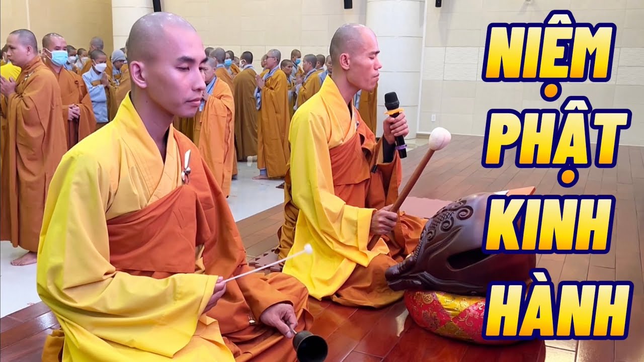 Khoá tu Phật thất 97 - ĐẶC BIỆT CÓ TĂNG NI... - youtube