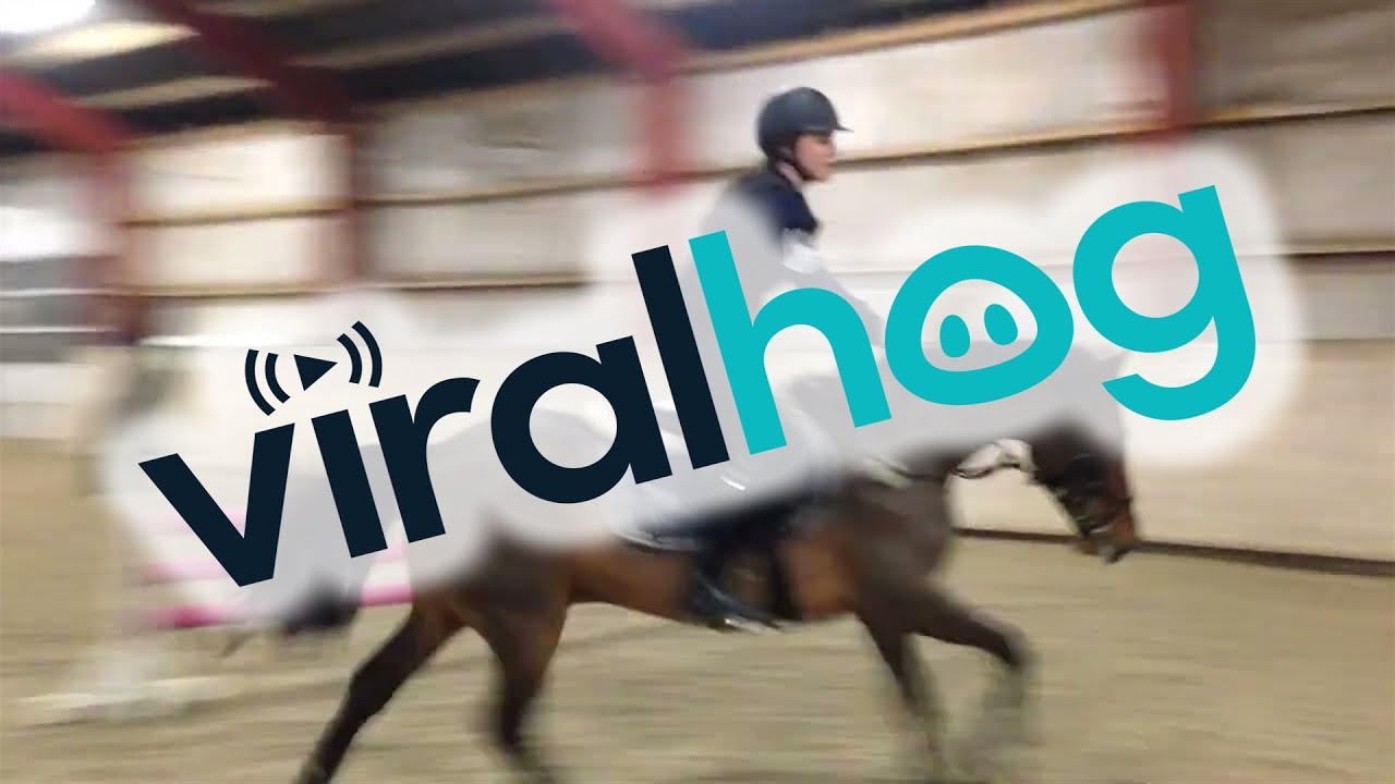 Fall During A Horse Jumping Lesson ViralHog YouTube