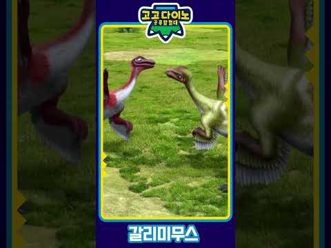[고고다이노 공룡탐험대5] 🦖1화 <strong>Card</strong> <strong>OPEN</strong>!🦕│갈리미무스  #고고다이노 #공룡탐험대