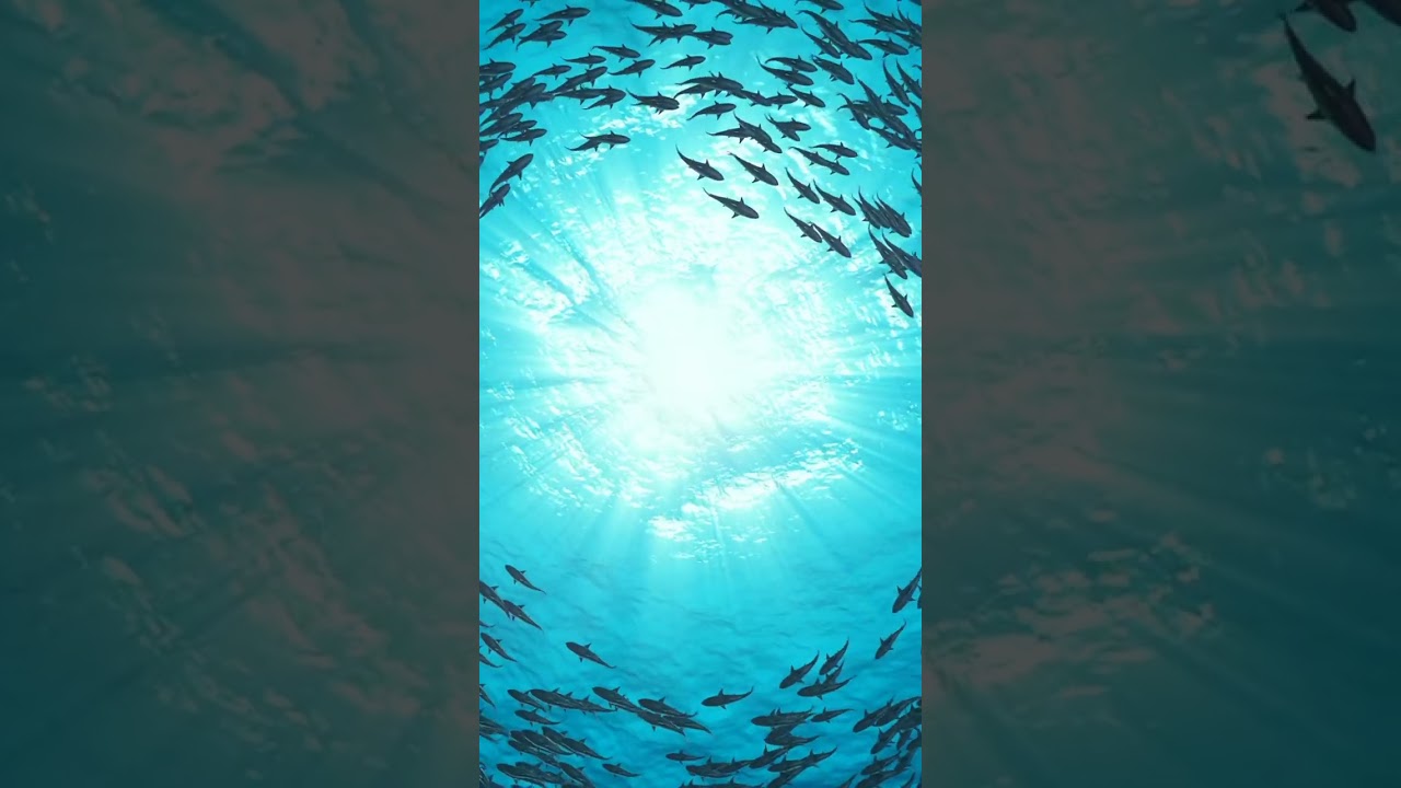 Building Strong Faith Leaders Through Youth Ministry