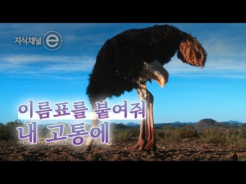 지식채널e - 증후군 보고서