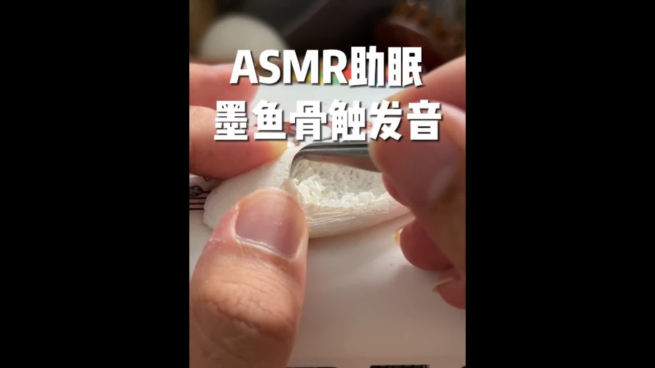 小众助眠之墨鱼骨脑内穿梭触发音纯享版 