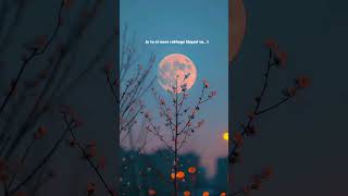 ve mera tere bin koyi na..।।💙🍁 #short #wtstatus #lovesong #lyricsong