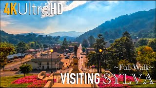 Sylva - 4K Ultra