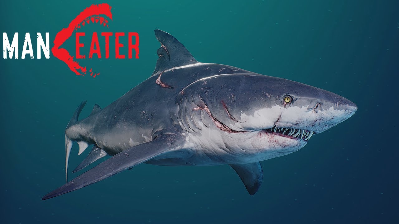 Maneater Part 10 - Dead Horse Lake Collectibles and Hunted Predators