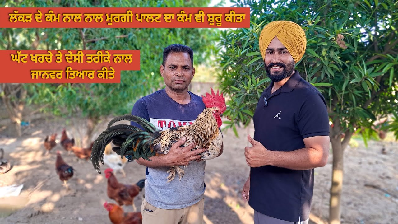 ਲੱਕੜ ਦੇ ਕੰਮ ਨਾਲ ਨਾਲ ਮੁਰਗੀ ਪਾਲਣ ਦਾ ਕੰਮ ਵੀ ਸ਼ੁਰੂ ਕੀਤਾ | ਘੱਟ ਖਰਚੇ ਤੇ ਦੇਸੀ ਤਰੀਕੇ ਨਾਲ ਜਾਨਵਰ ਤਿਆਰ ਕੀਤੇ
