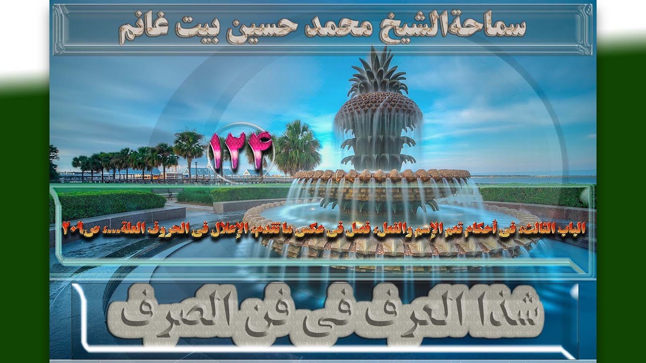 124 الباب الثالث،فی أحکام تعم الإسم والفعل،الإعلال فی...،ص209-الأستاذ: سماحةالشیخ محمد حسین بیت غانم