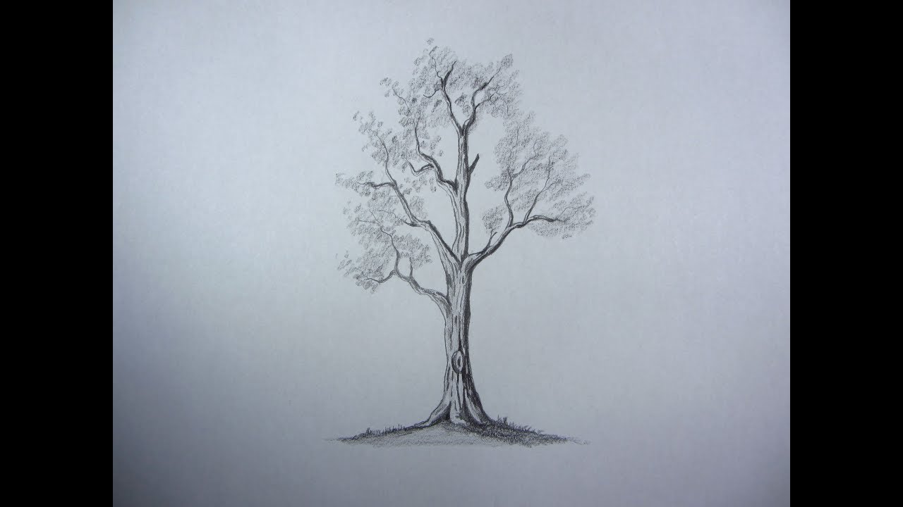 Easiest Pencil And Eraser Art Tree Tutorial / Satisfying Pencil