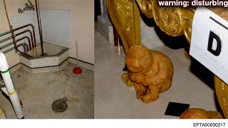 The EPSTEIN Photos TOO EXTREME For Mainstream Media...