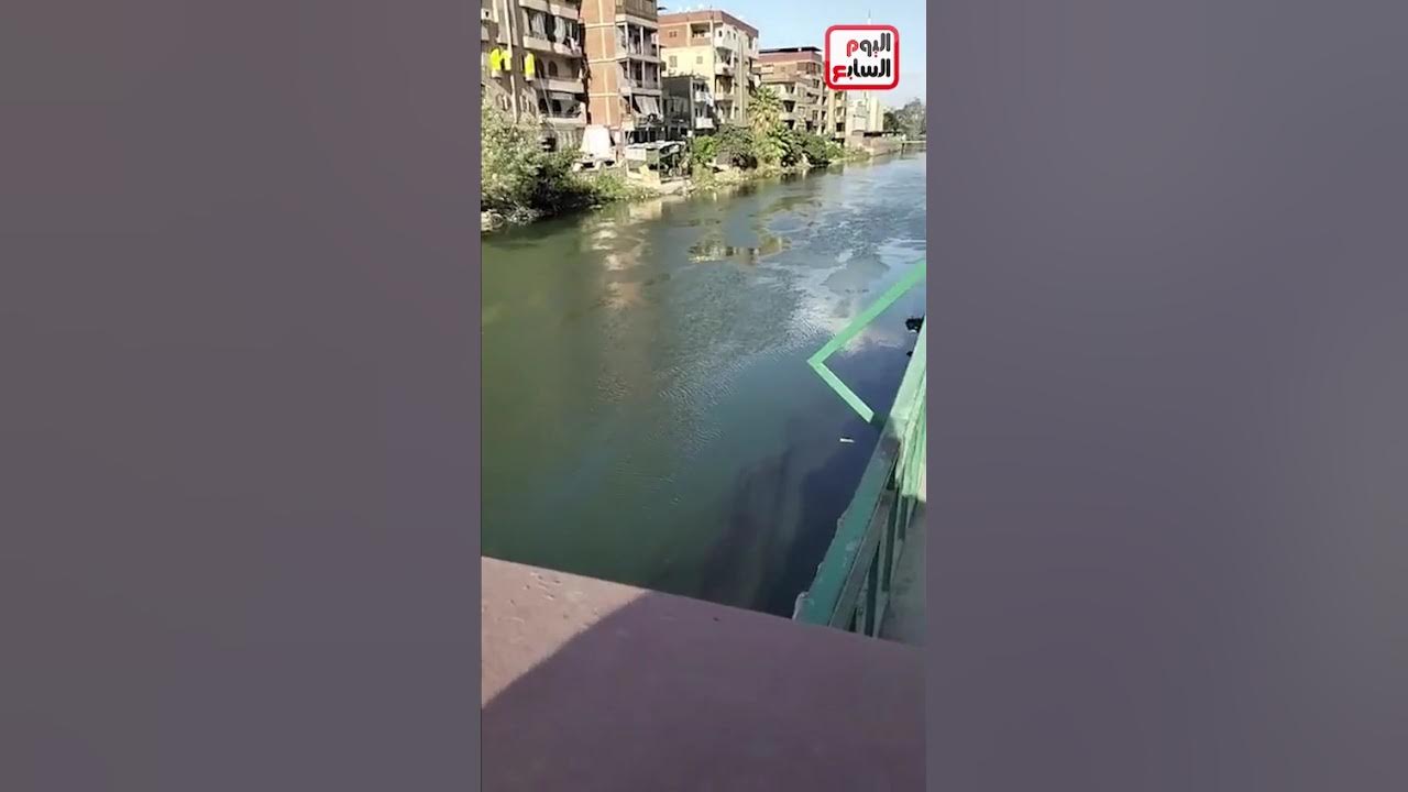       
 - نشر قبل 13 دقيقة