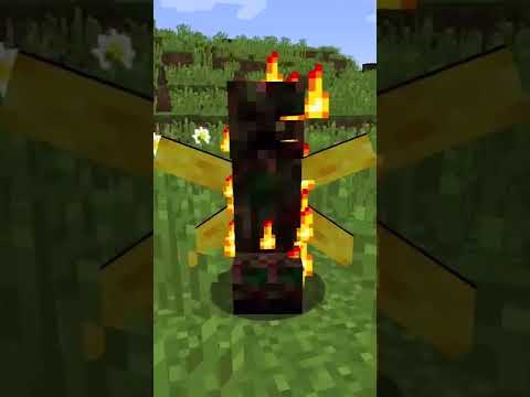 Minecraft & Reality 😲 #shorts