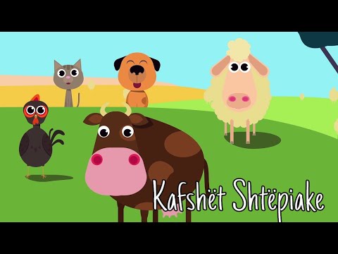 🐮 Kafshët Shtëpiake dhe Tingujt e Kafshëve 🐣 Bubrreci TV Këngë për Fëmijë 🐇 #kafshet #kengeperfemije