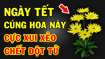 8 Loại Hoa CỰC ĐỘC TUYỆT ĐỐI CẤM đặt lên bàn thờ ngày TẾT kẻo Thánh Thần Quở Phạt -Tài Lộc Tiêu Tán