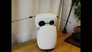 Spectacles AR x Reachy Mini