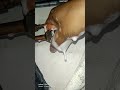 ac Gas leakage testing  #shots #music #trending #viralvideo