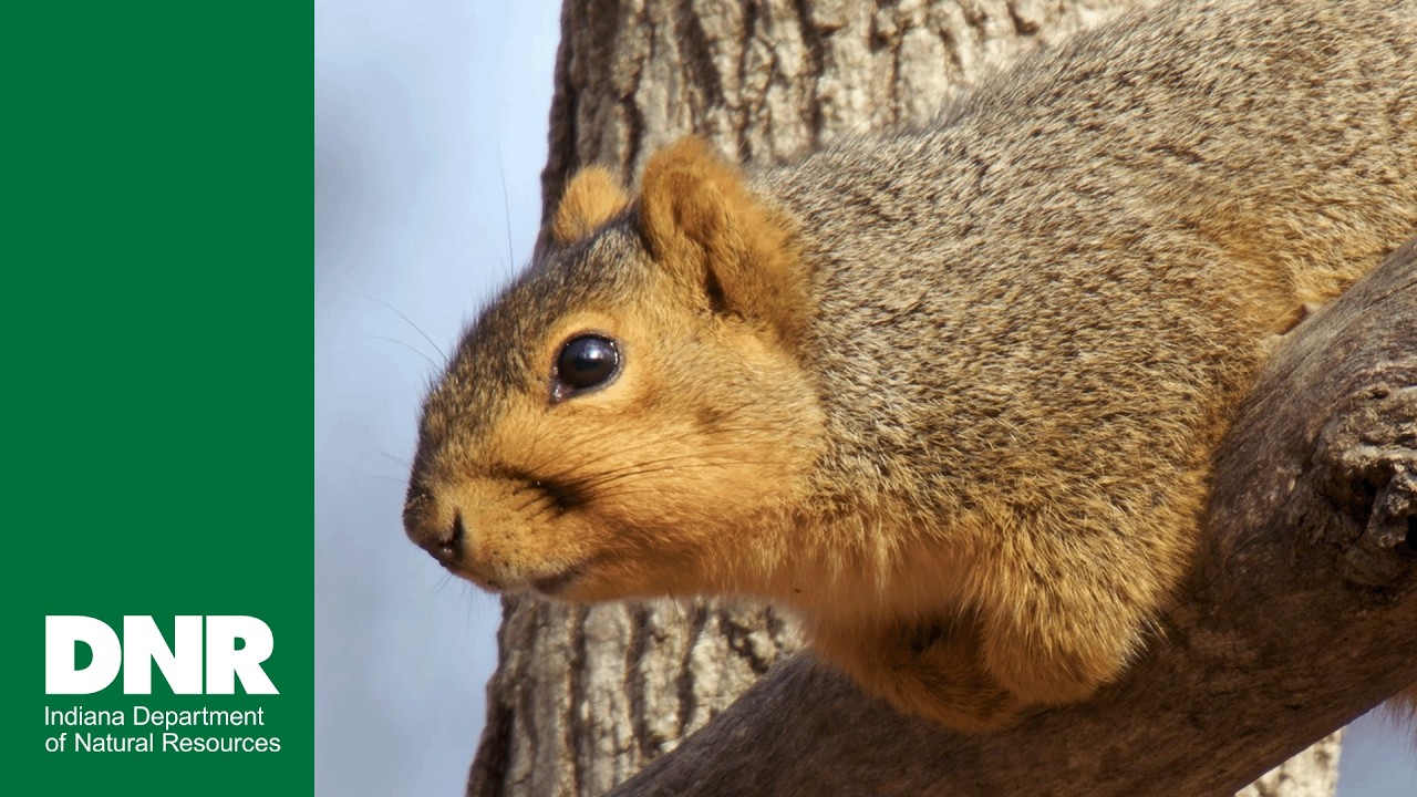 2026 Indiana DNR Winter
