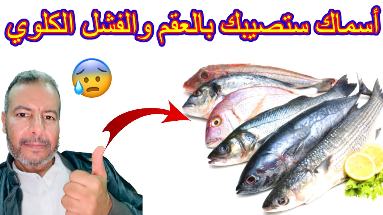 أجي تعرف الحوت المسموم في المغرب 🇲🇦😱🇲🇦