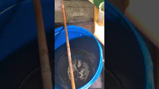 🎬 FERMAKOR 30 L Veg Mix — Full Barrel Breakdown