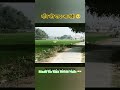 खेत में नीलगाय का आतंक! 😱 गाँव की याद आ गई 🇮🇳💔 #shorts #viral