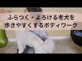 ふらつく・よろける老犬を歩きやすくするボディワーク Bodyworks for Geriatric Dogs that Stumble Easily