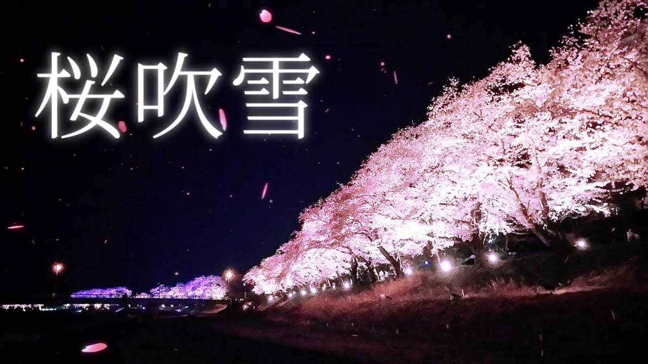 After Effectsで桜吹雪を作ろう | J.B.Goode Inc. - ソフトウェアで 