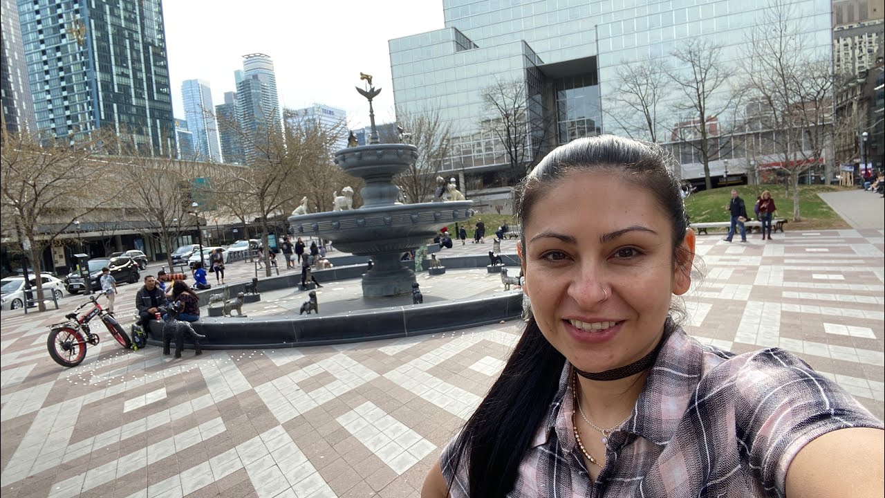 dogs park in toronto