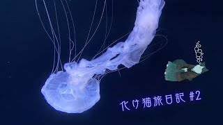 【雑談】 化野旅日記 ～その２～ 【水族館】