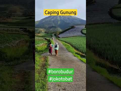 Yeni Inka ft Ageng Music - Caping Gunung (Official Live Music)